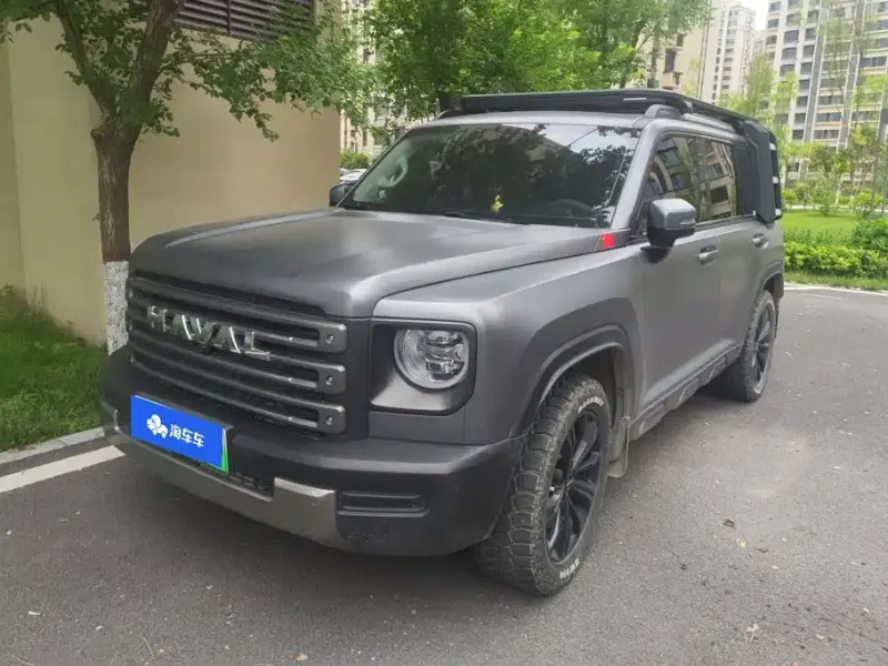 Haval Menglong New Energy, 2025