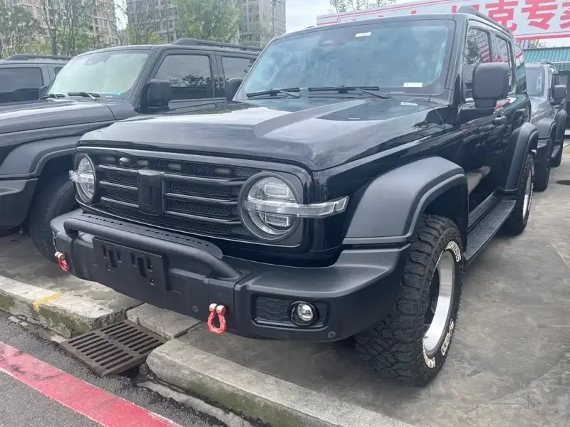 Tank 300, 2021