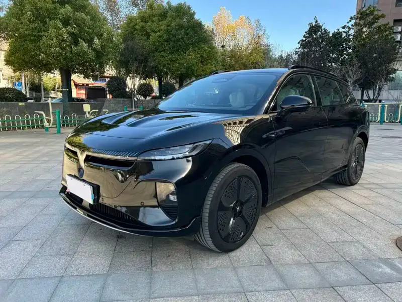 VOYAH Zhiyin, 2025