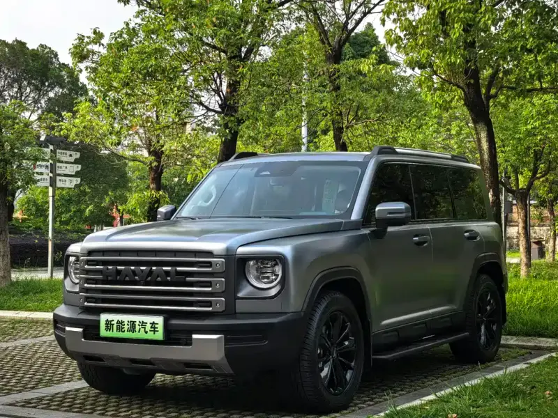 Haval Menglong New Energy, 2024