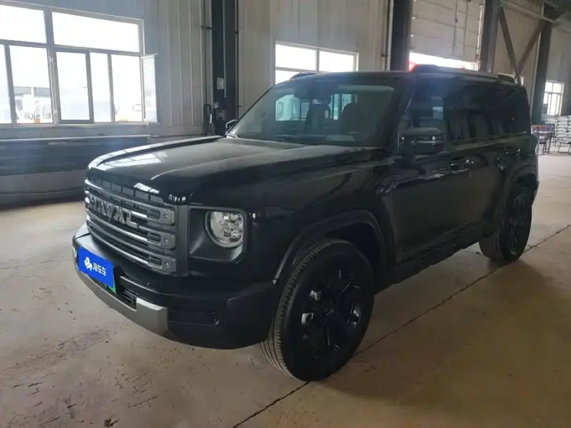 Haval Menglong New Energy, 2025