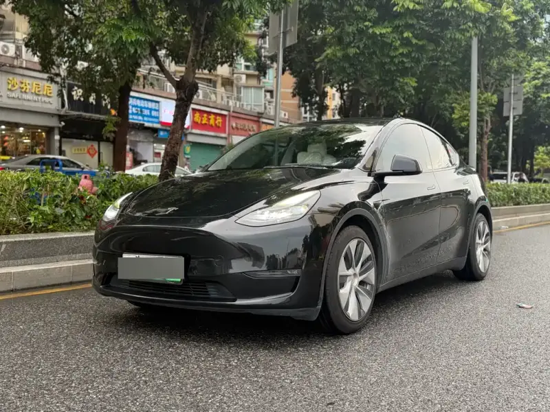 Tesla Model Y, 2021
