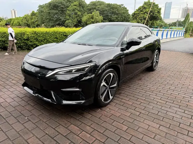 BYD L EV, 2024