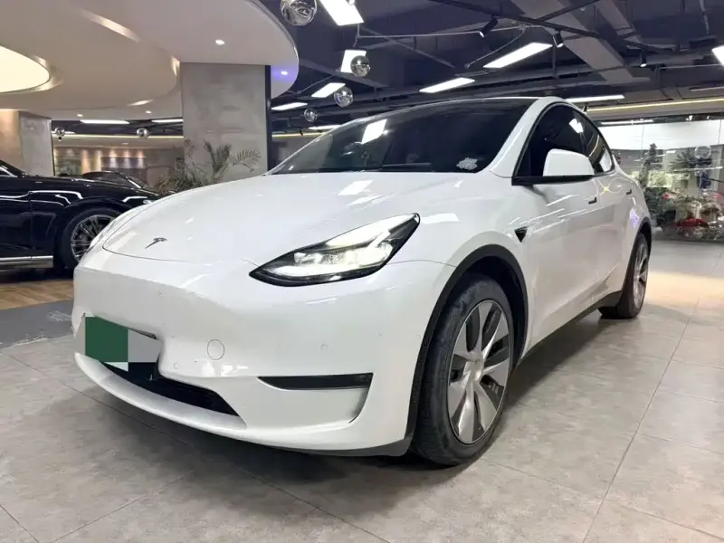 Tesla Model Y, 2021