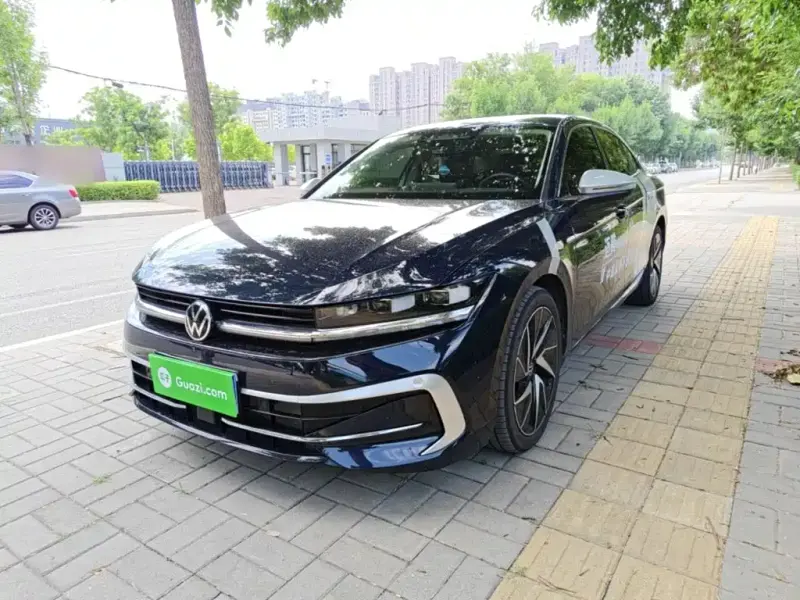 Volkswagen Magotan, 2024