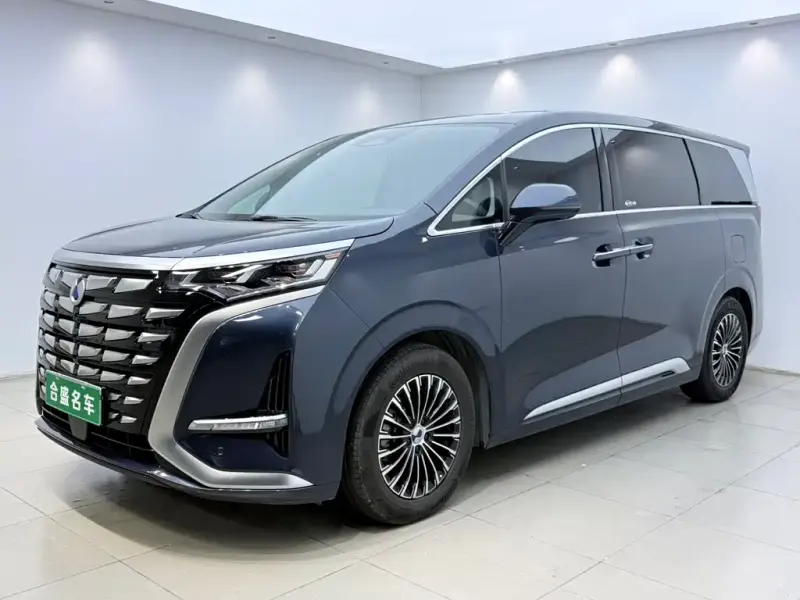 Denza D9, 2022