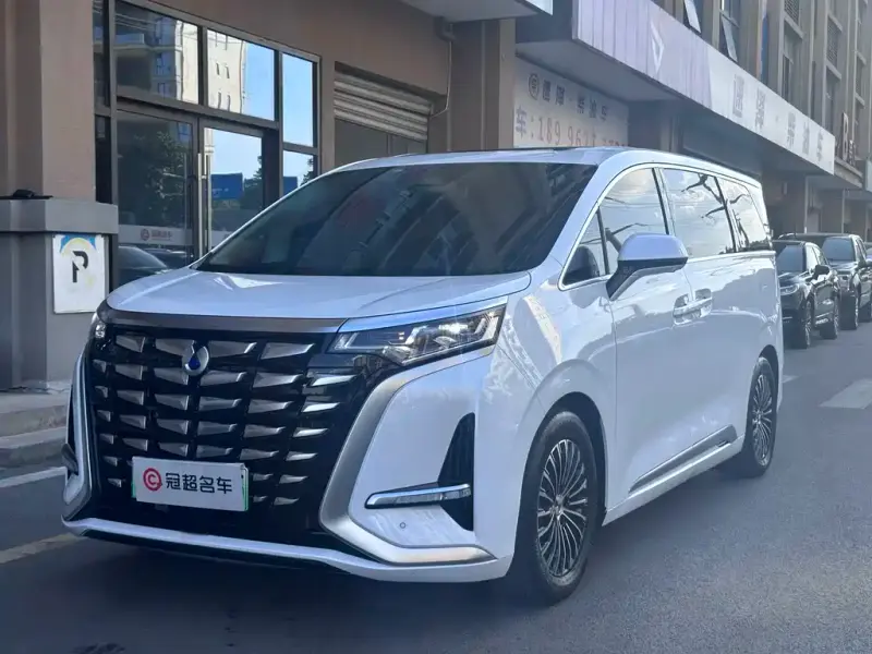 Denza D9, 2024