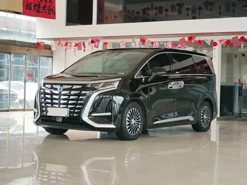 Denza D9, 2024