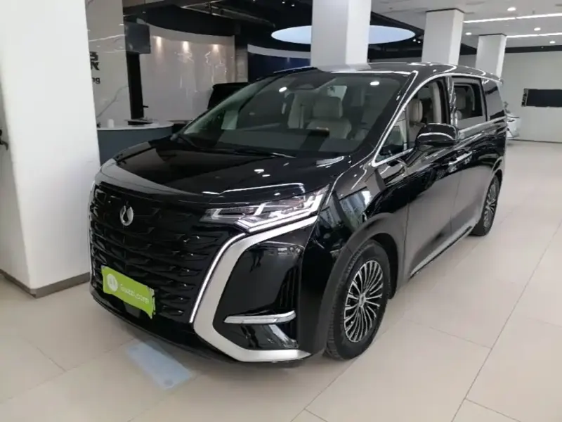 Denza D9, 2024