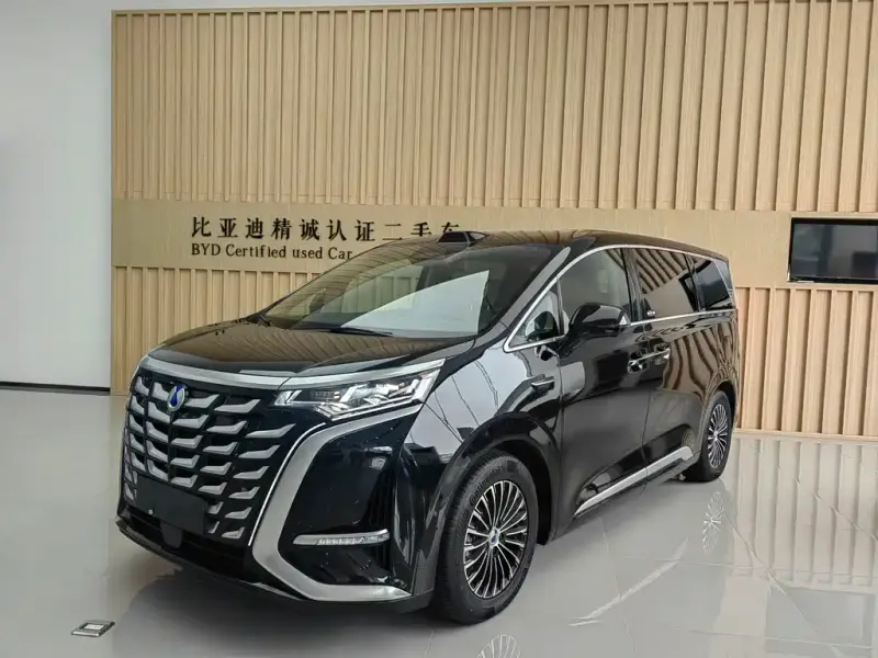 Denza D9, 2025