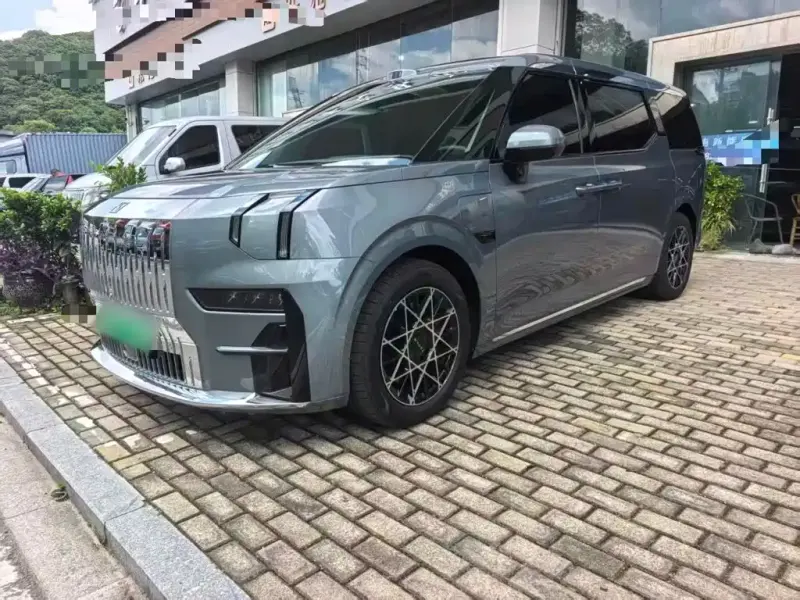 Zeekr 009, 2024