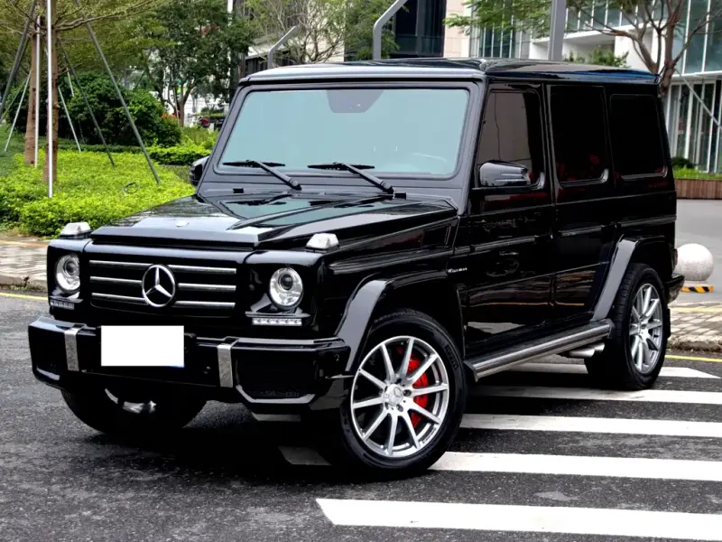 Mercedes-Benz G-Class, 2011