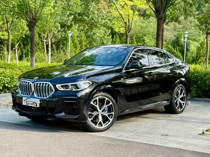 BMW X6, 2022