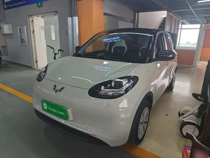 Wuling Bingo, 2024