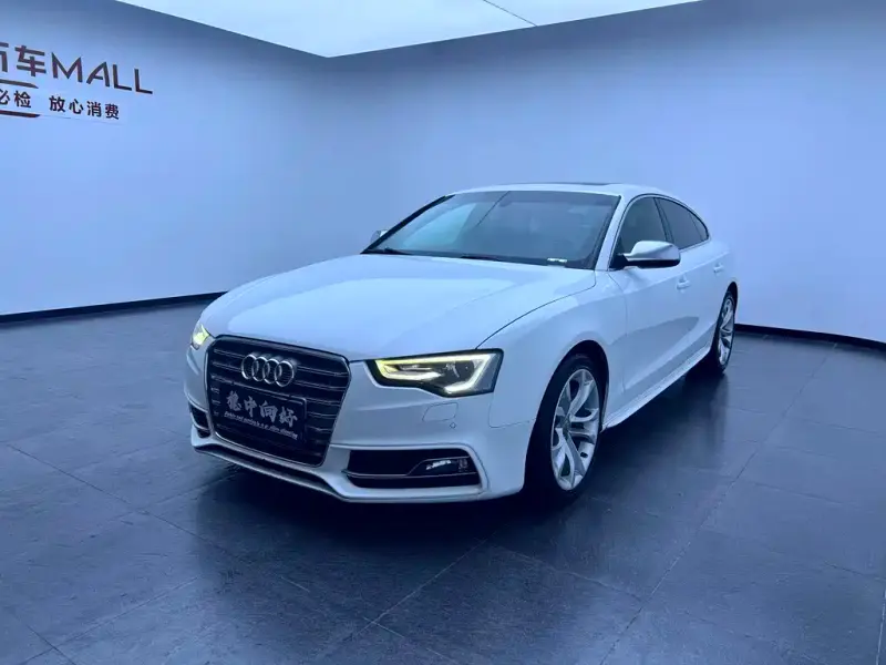 Audi S5, 2013
