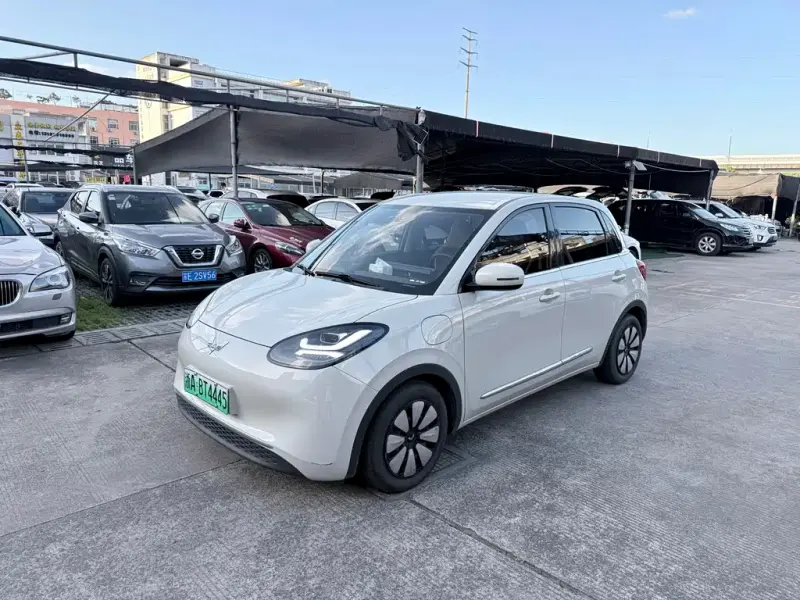 Wuling Bingo, 2023
