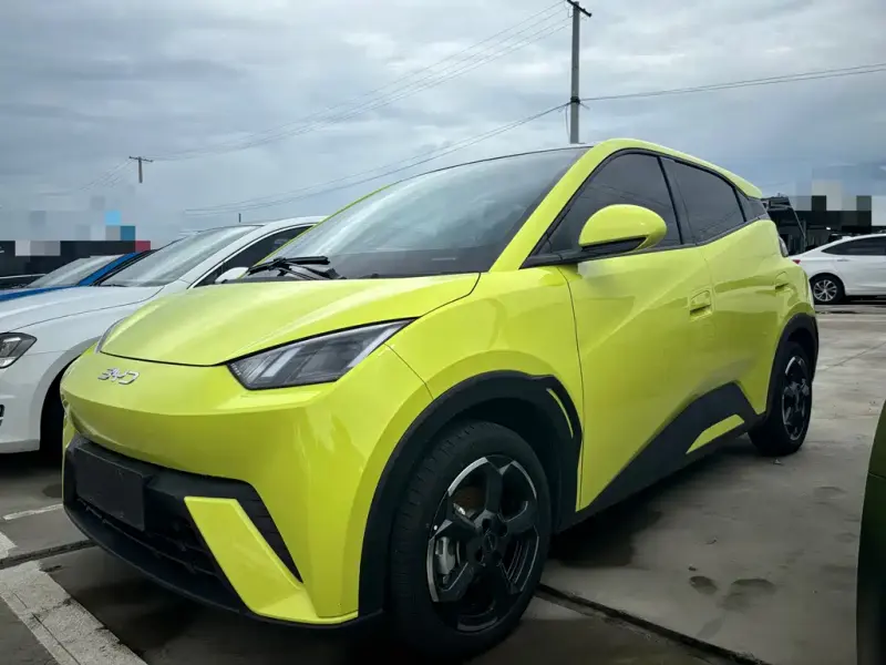 BYD Seagull, 2024