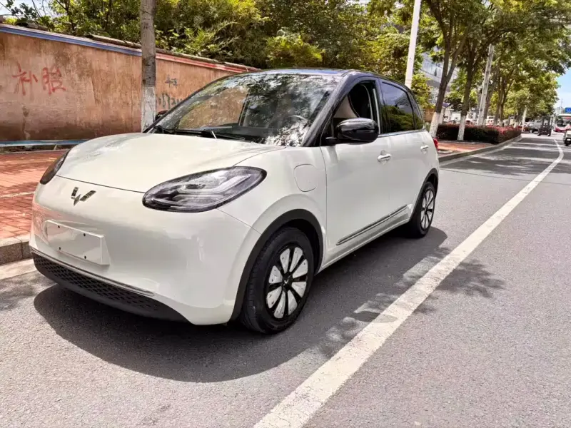 Wuling Bingo, 2023