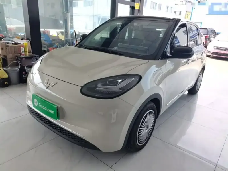 Wuling Bingo, 2024