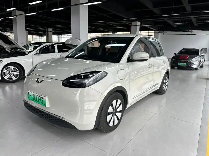 Wuling Bingo, 2023