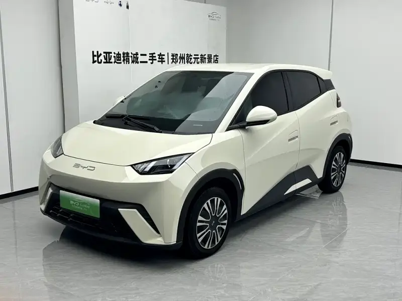 BYD Seagull, 2024