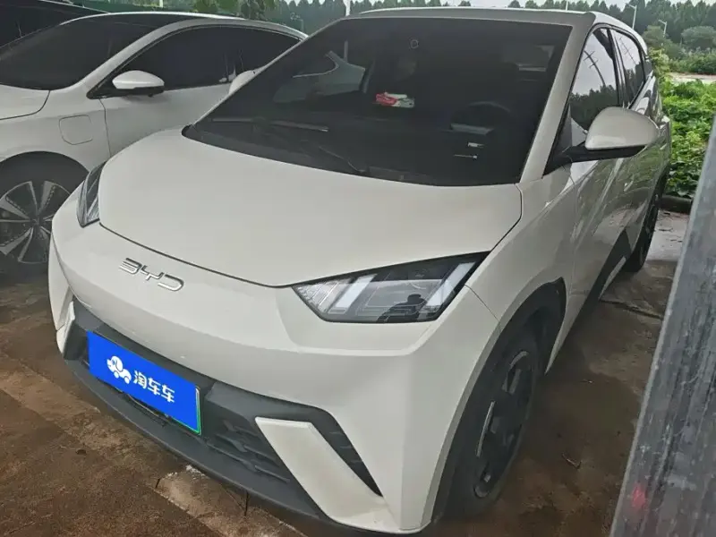 BYD Seagull, 2024