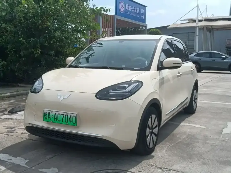 Wuling Bingo, 2025