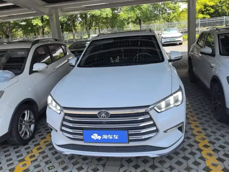 BYD Pro New Energy, 2020