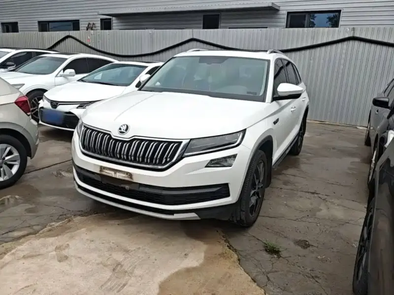 Skoda Kodiaq, 2017