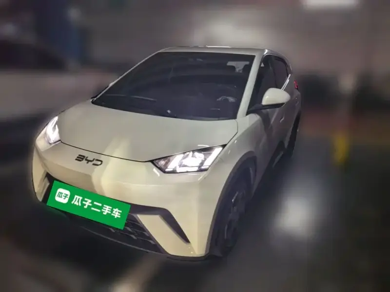 BYD Seagull, 2024