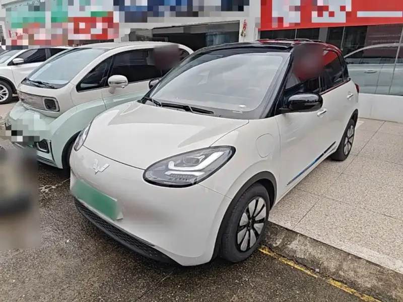 Wuling Bingo, 2024