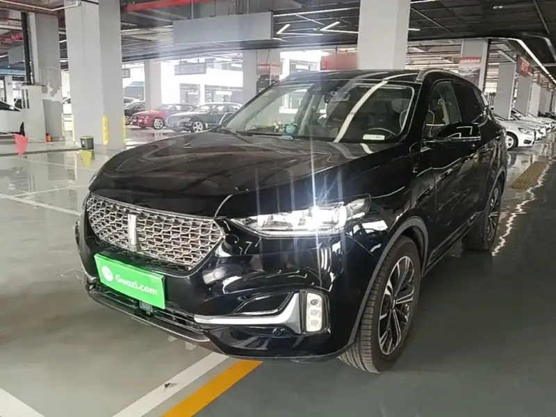 Wey VV6, 2021
