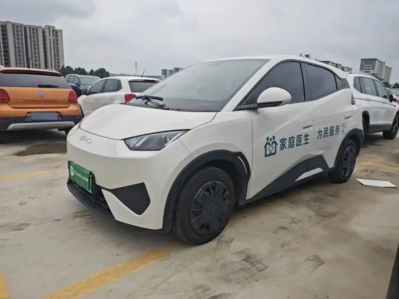 BYD Seagull, 2025
