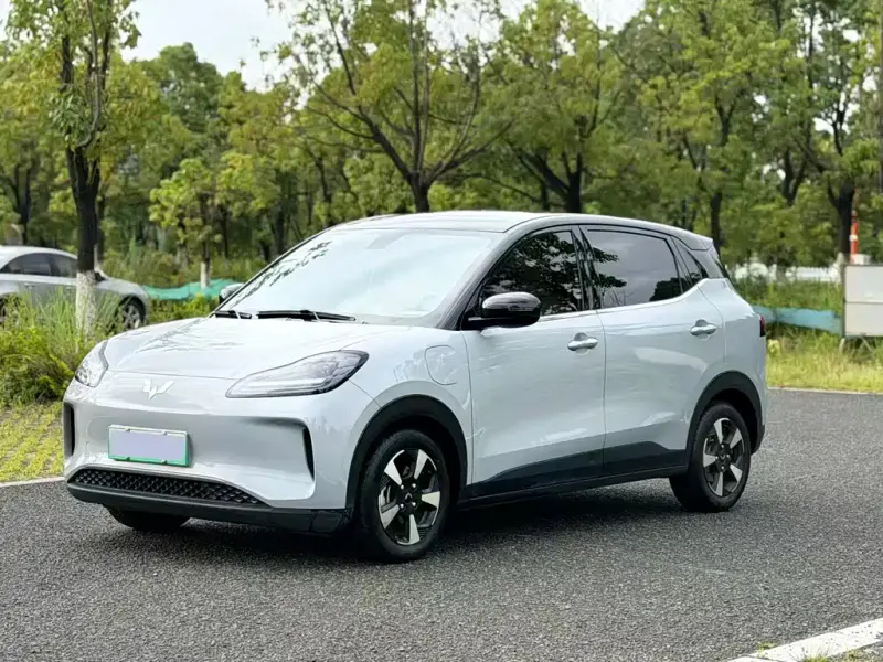 Wuling Bingo PLUS, 2024