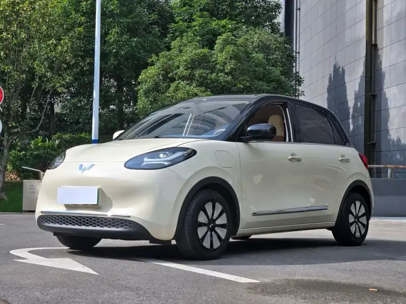 Wuling Bingo, 2025