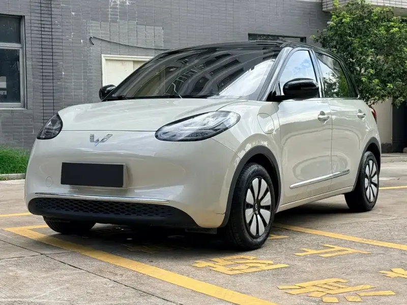 Wuling Bingo, 2025