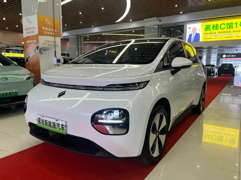 Baojun Yunduo, 2024