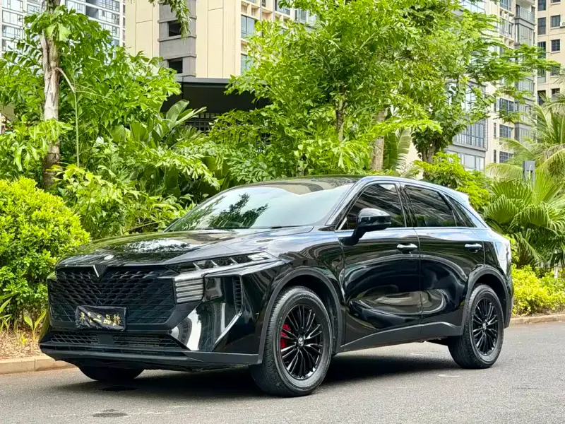 Venucia V, 2023