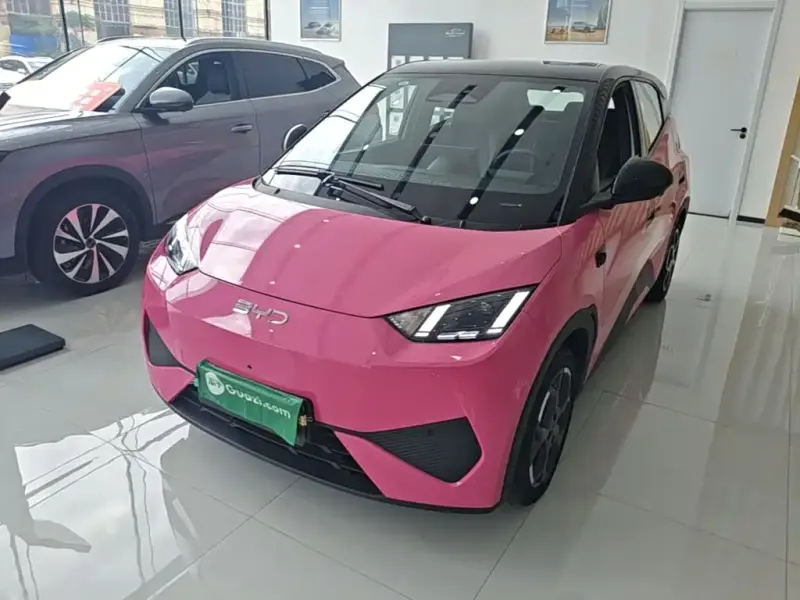 BYD Seagull, 2025