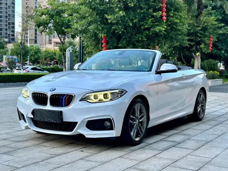 BMW 2 Series (Import), 2015