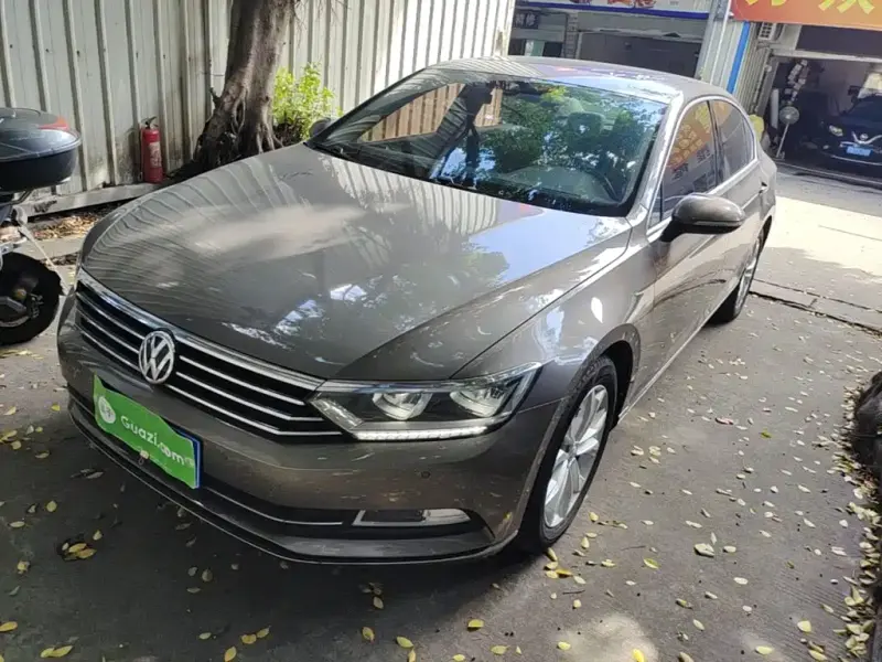 Volkswagen Magotan, 2019