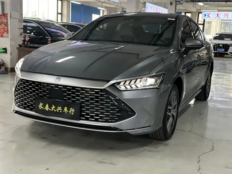 BYD Qin PLUS, 2024