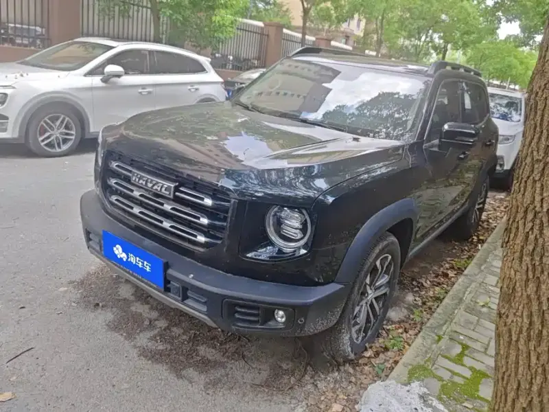 Haval Big Dog, 2021