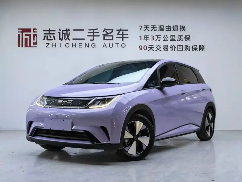 BYD Dolphin, 2024