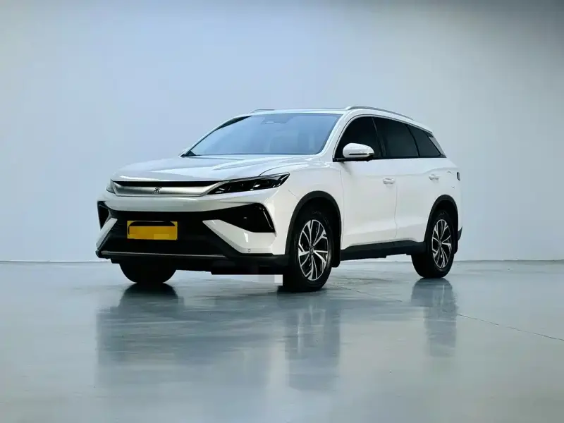 BYD Pro New Energy, 2024