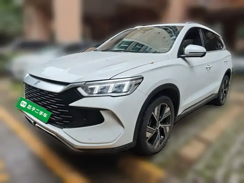 BYD Pro New Energy, 2024