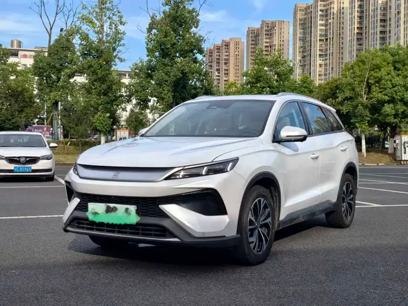 BYD Pro New Energy, 2024