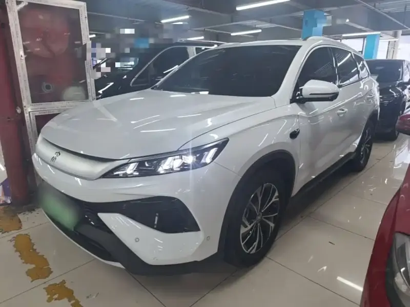 BYD Pro New Energy, 2025