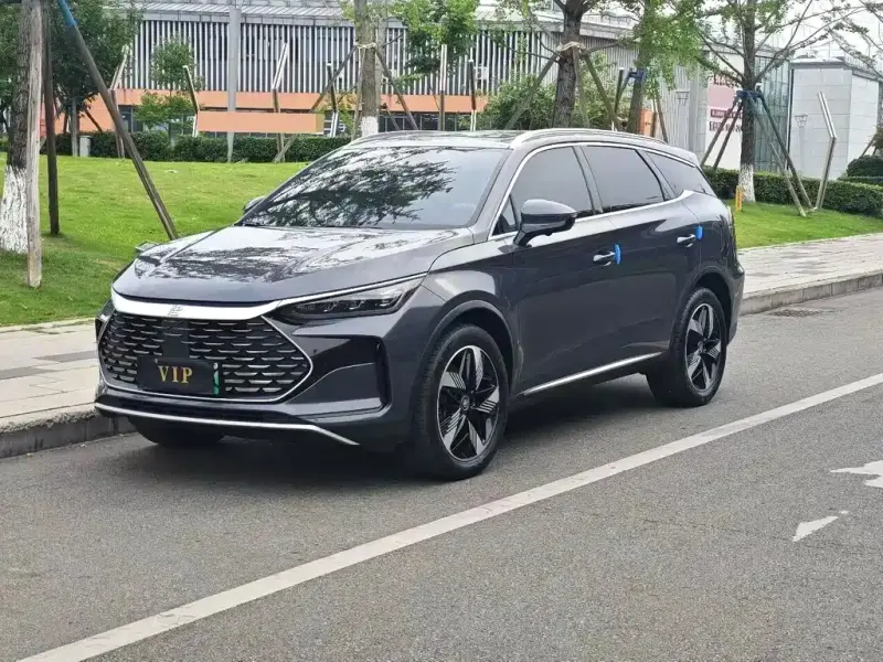 BYD Tang New Energy, 2024