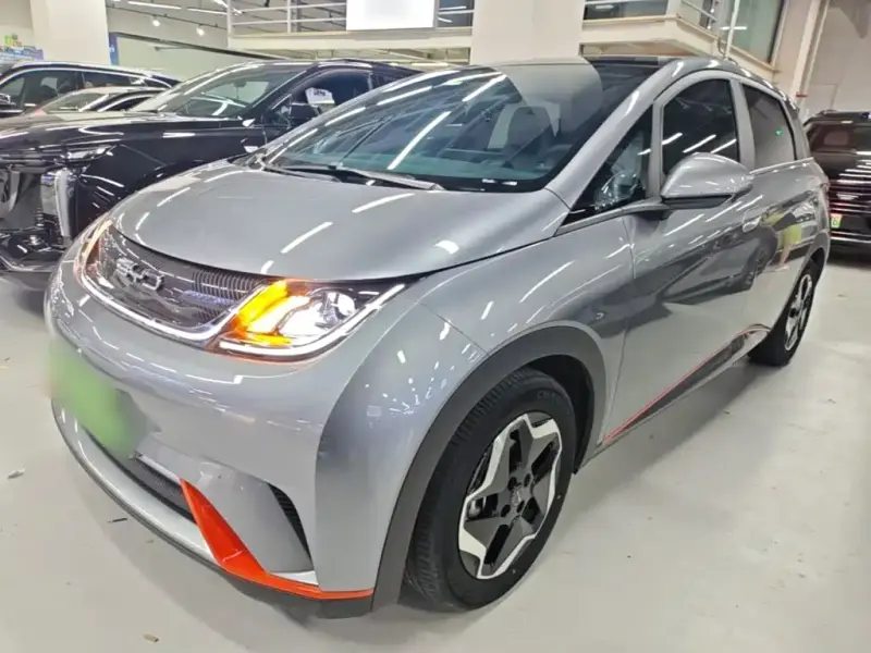 BYD Dolphin, 2022